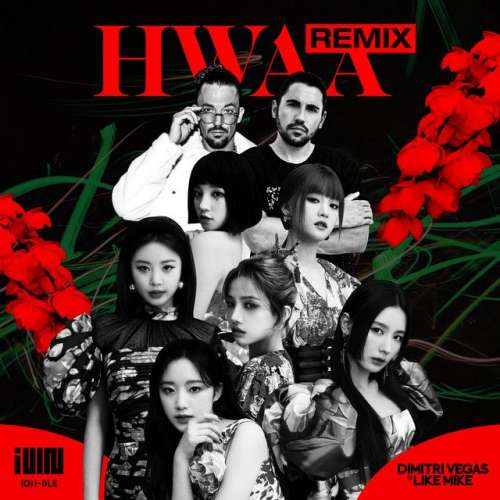 HWAA - Dimitri Vegas & Like Mike Remix